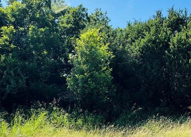 Property at 34051 Stonewood Loop, Whitney, TX 76692