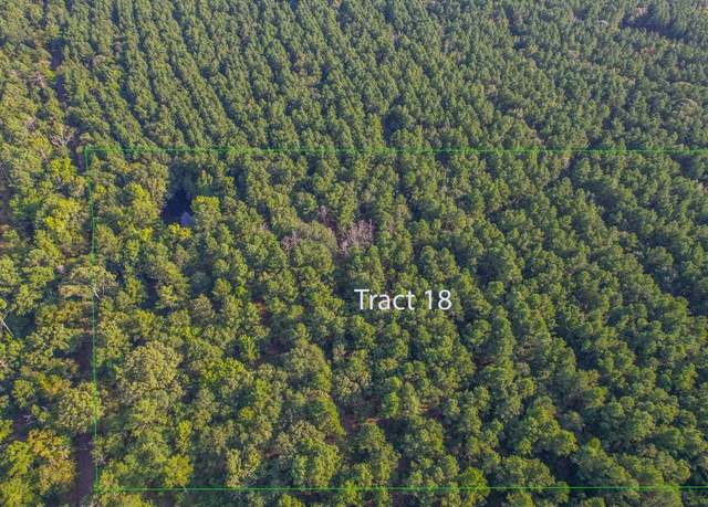 Property at Tract 18 County Road 4224, Frankston, TX 75763