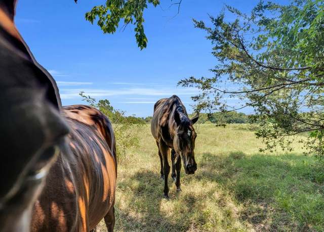 Property at TBD County Road 348, Wills Point, TX 75169