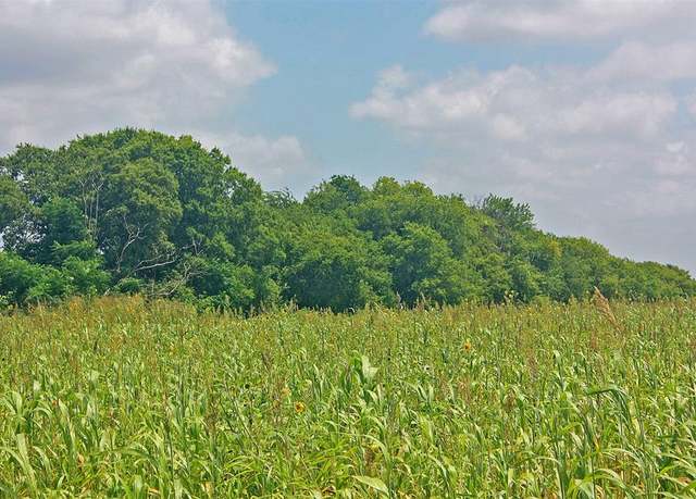 Property at 2417 County Road 211, Alvarado, TX 76009