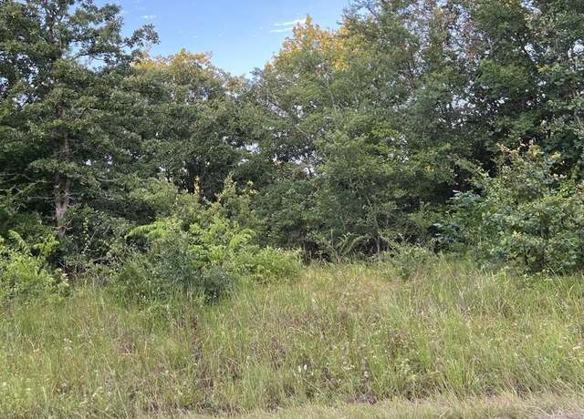 Property at 133 Pocahontas St, Mabank, TX 75156