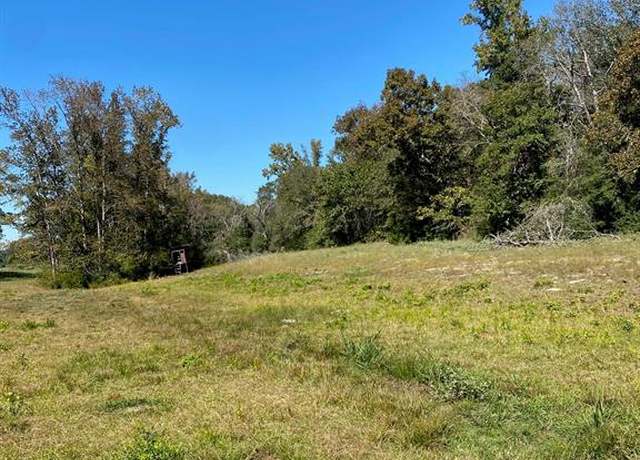 Property at TBD 008 County Rd 242, Oakwood, TX 75855