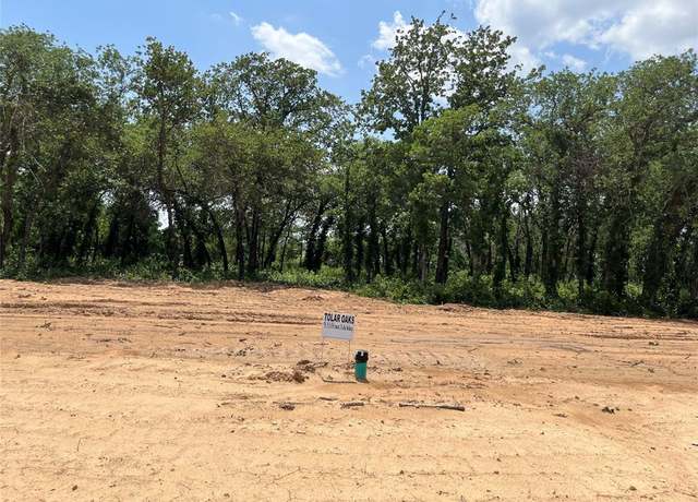 Property at 433 Peace Lily Way, Tolar, TX 76476