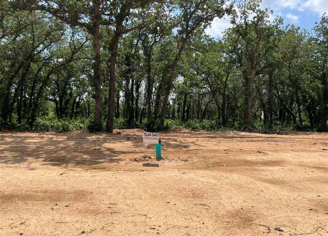 Property at 437 Peace Lily Way, Tolar, TX 76476