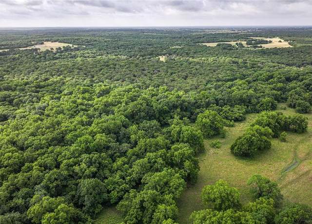 Property at 12375 NE CR 3120, Kerens, TX 75144