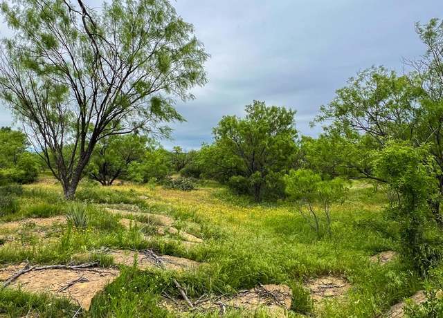 Property at 1570 Cr383 Rd, Woodson, TX 76491