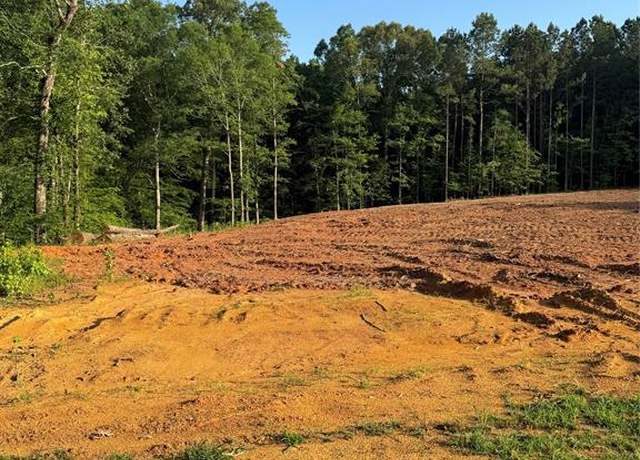 Property at 0 Quail A Trl, Homer, LA 71040