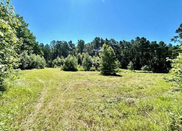 Property at 75 Acres Highway 37, Clarksville, TX 75426
