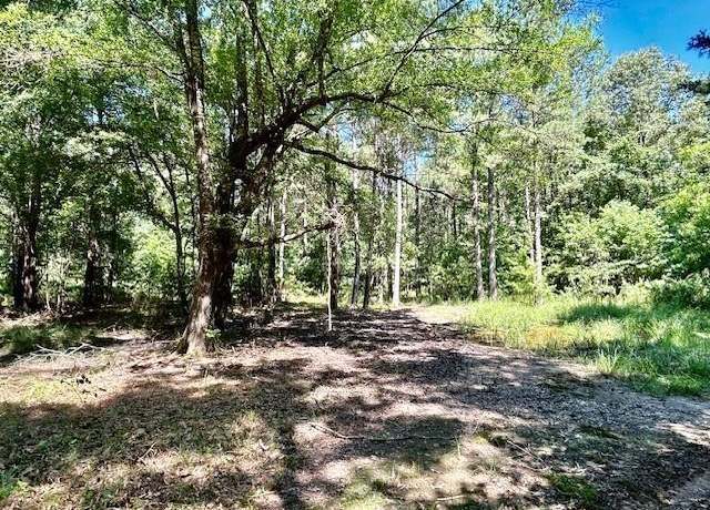 Property at 75 Acres Highway 37, Clarksville, TX 75426