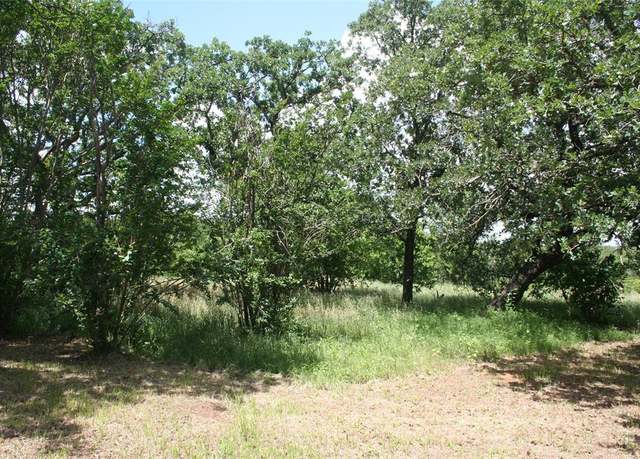 Property at 215 Buzbee Rd, Palo Pinto, TX 76484