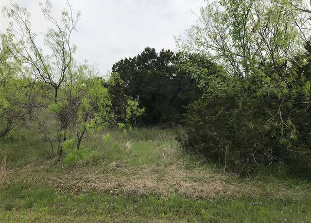 Property at 43174 Wisteria Dr, Whitney, TX 76692