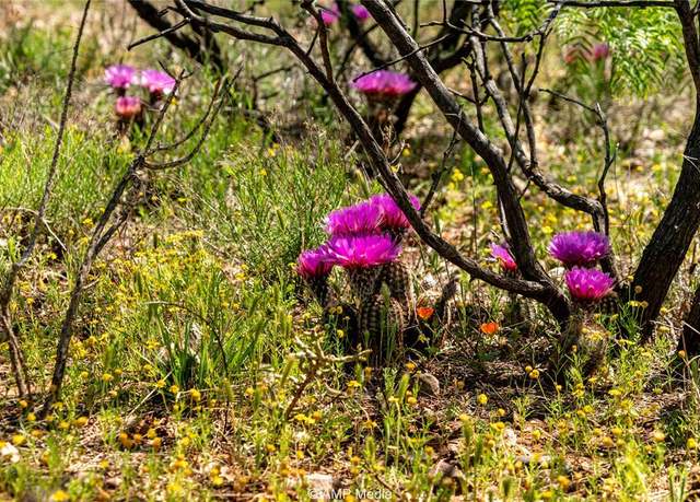 Property at TBD FM 600, Haskell, TX 79521