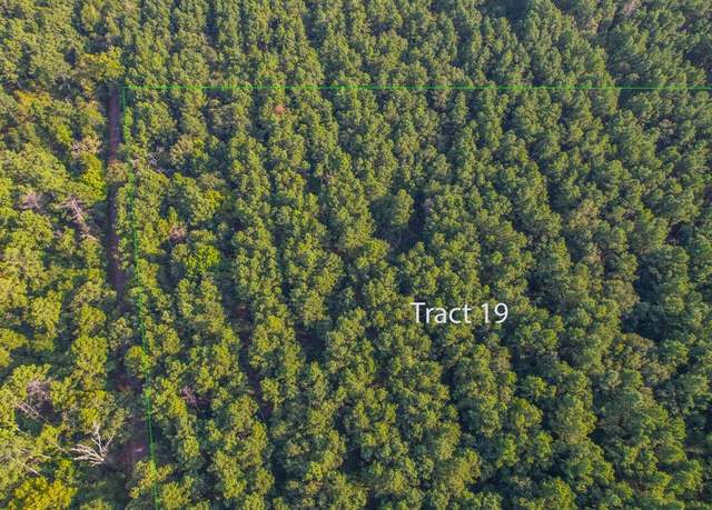 Property at Tract 19 County Road 4224, Frankston, TX 75763