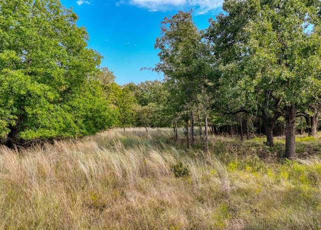 Property at TBD Valley Oak Ct, Springtown, TX 76082