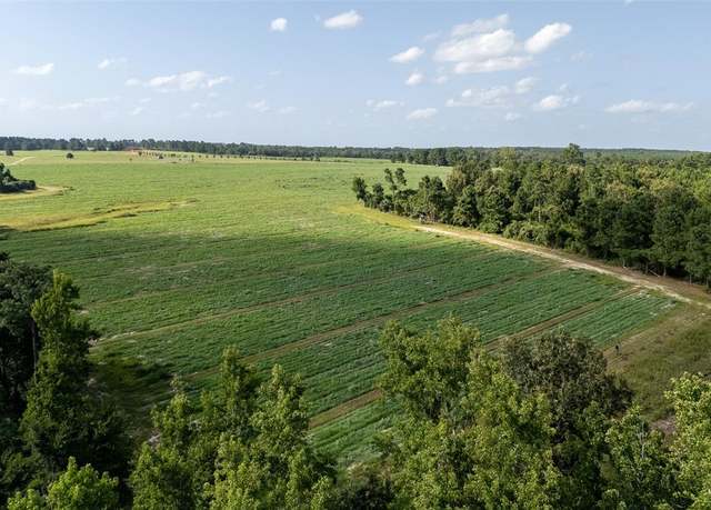 Property at 00 County Road 2180, Grapeland, TX 75844