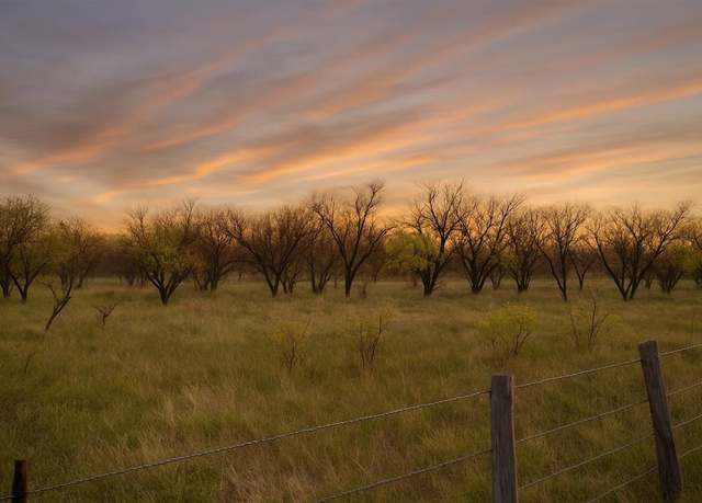 Property at TBD State Hwy 114, Seymour, TX 76380
