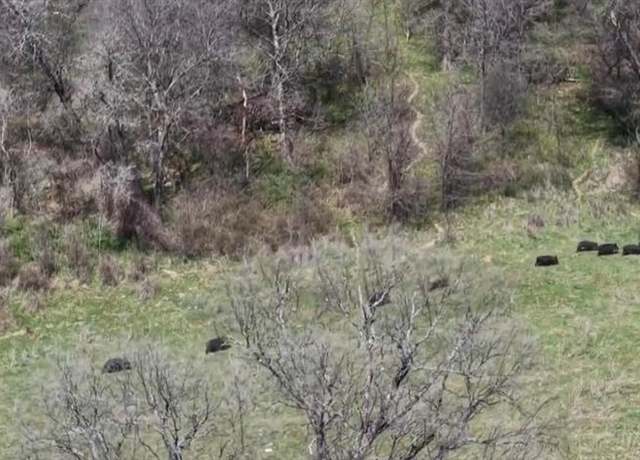 Property at 3141 Rogers Rd, Jacksboro, TX 76458
