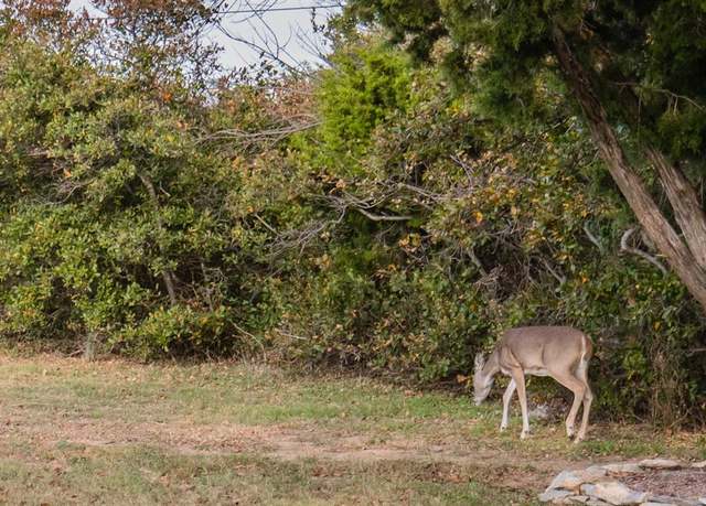 Property at Lot 95 Cliffs Dr, Possum Kingdom Lake, TX 76449