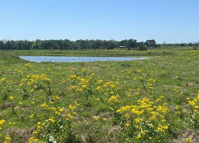 Property at 000 Cr 4343, Larue, TX 75770