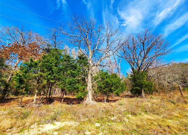 Property at Lot 463 Us-175, Larue, TX 75770