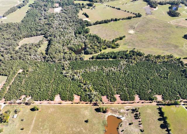 Property at 00 CR 3121, Long Branch, TX 75669