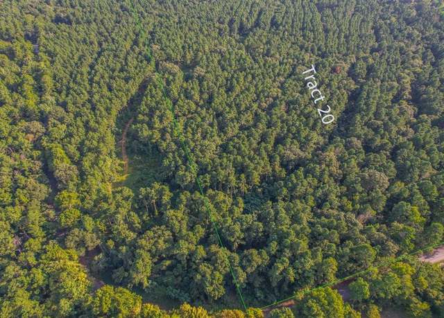 Property at Tract 20 County Road 4224, Frankston, TX 75763