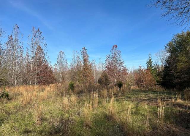 Property at tract A County Road 1412, Bogata, TX 75426