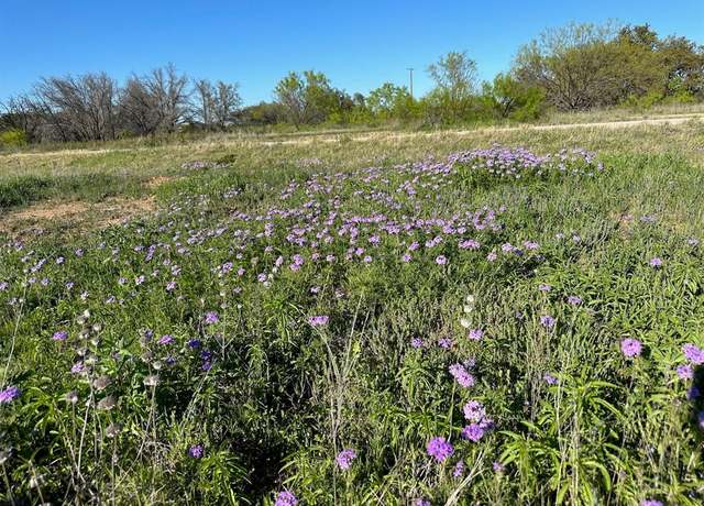 Property at 740 Downhaul Way, Brownwood, TX 76801