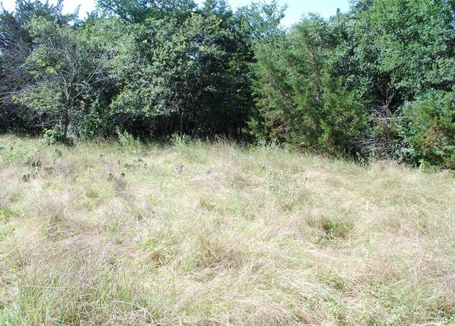 Property at 1306 Overlook Dr, Whitney, TX 76692