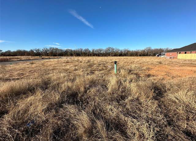 Property at 1107 Wild Rose Dr, Tolar, TX 76476