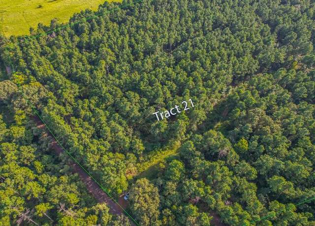 Property at Tract 21 County Road 4224, Frankston, TX 75763