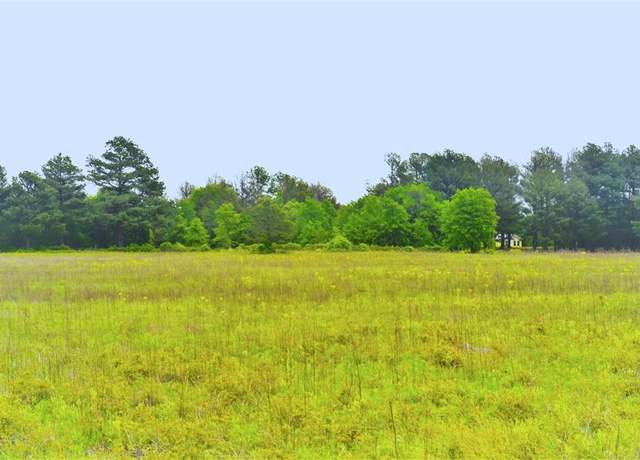 Property at 6005 Conifer Ct, Poolville, TX 76487
