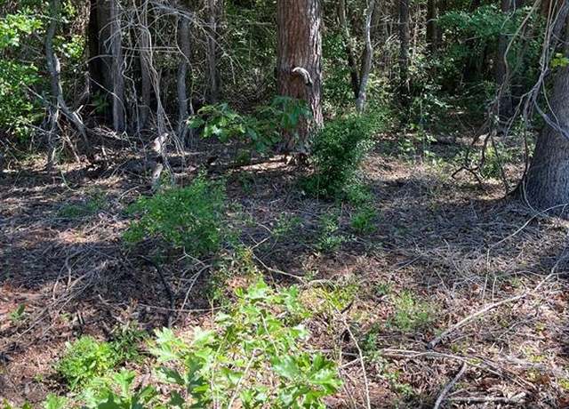 Property at 0000 FM 1801, Mineola, TX 75773