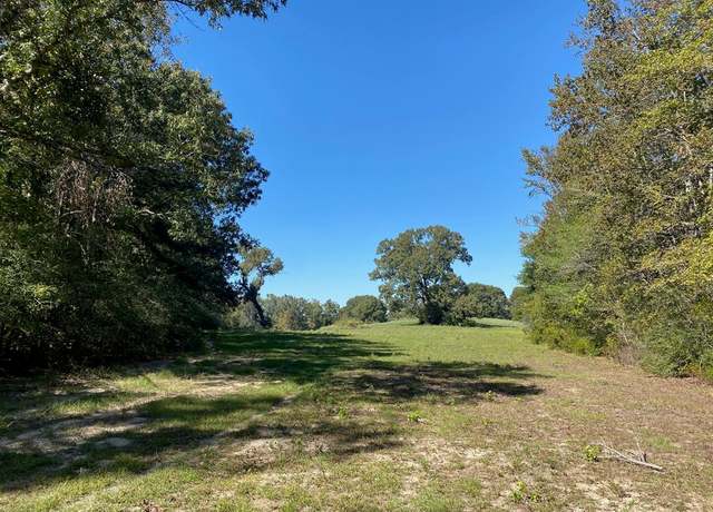 Property at TBD 010 County Rd 242, Oakwood, TX 75855