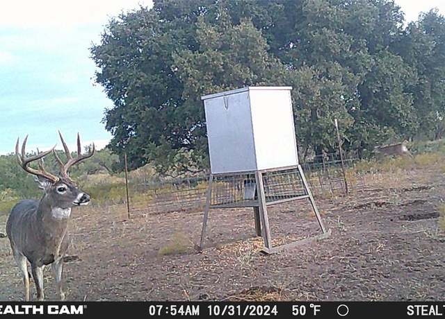 Property at TBD County Road 294n, Early, TX 76802