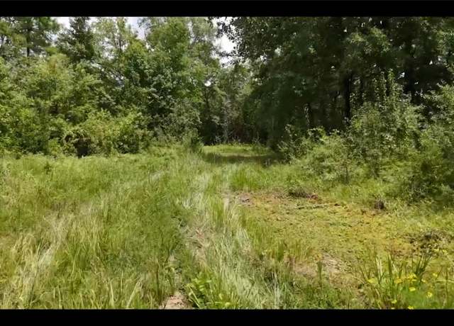 Property at Lot 4 County Road 2215, Detroit, TX 75436