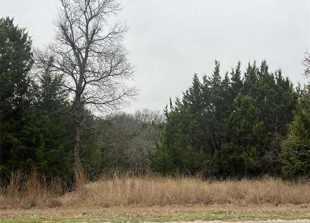 Property at 1141 Neches Trl, Whitney, TX 76692