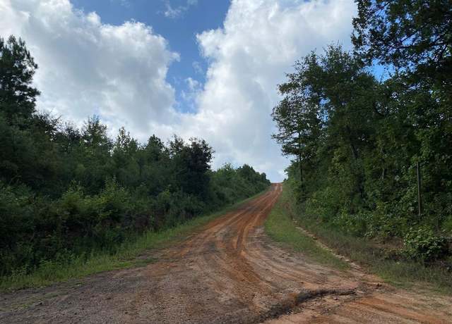 Property at TBD County Road 394, Tatum, TX 75691
