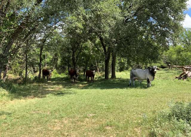 Property at 10051 County Road 321, Blanket, TX 76432