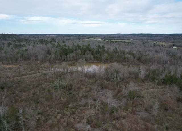 Property at TBD County Road 378, Laneville, TX 75667