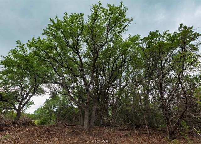 Property at 8219 Fm 89, Tuscola, TX 79562