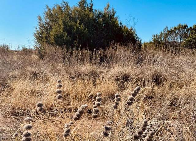 Property at 1093 Preston Valley Trl, Glen Rose, TX 76043