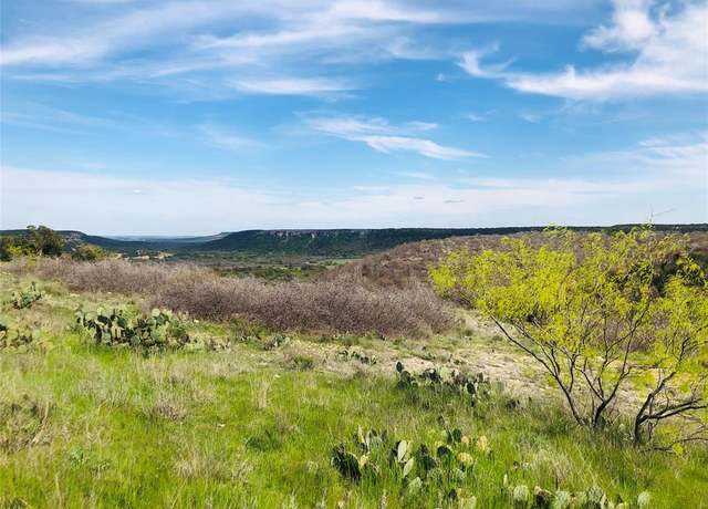 Property at Lot 220 Oak Tree Dr, Possum Kingdom Lake, TX 76449