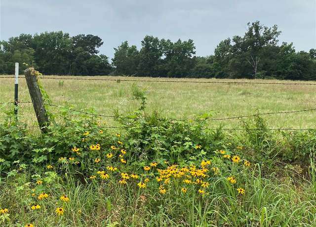 Property at 981 County Road 3987, Winnsboro, TX 75494