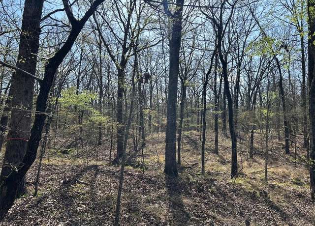 Property at 000 FM 410 S, Bogata, TX 75417