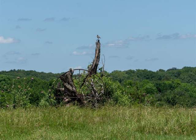 Property at TBD Shaffer Rd, Denison, TX 75021