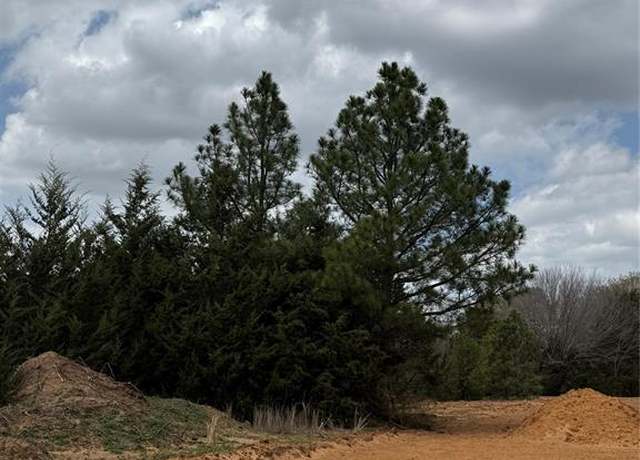 Property at 3552 FM 3136 Lot 3, Coyote Flats, TX 76031