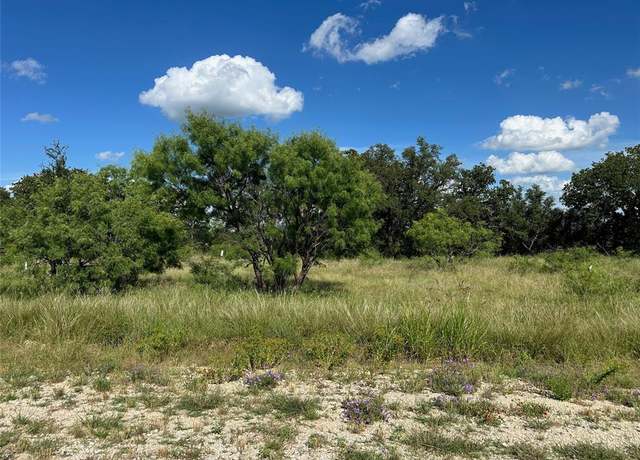 Property at 463 Feather Bay Dr, Brownwood, TX 76801