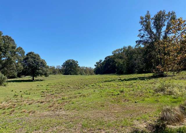 Property at TBD 011 County Rd 242, Oakwood, TX 75855