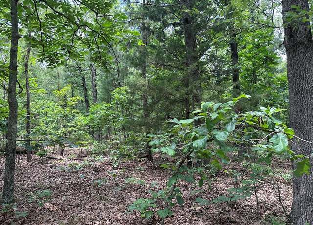 Property at TBD County Road 2131, Detroit, TX 75436
